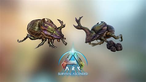 dung beetle ark ascended taming.